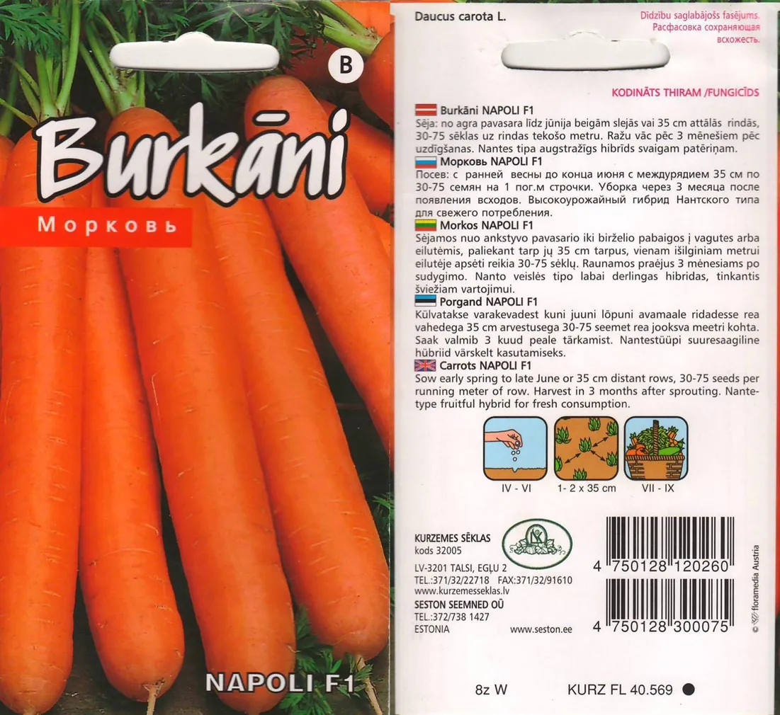SEEMNED KURZEMES SEKLAS PORGAND "NAPOLI" F1 1G