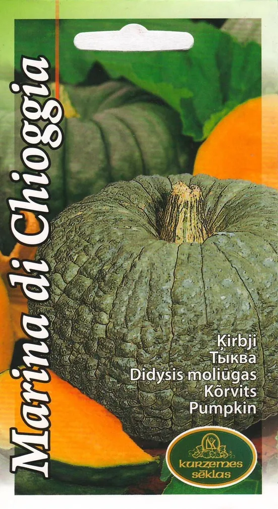 SEEMNED KURZEMES SEKLAS KÕRVITS MARINA DI CHIOGGIA 5 SEEMET