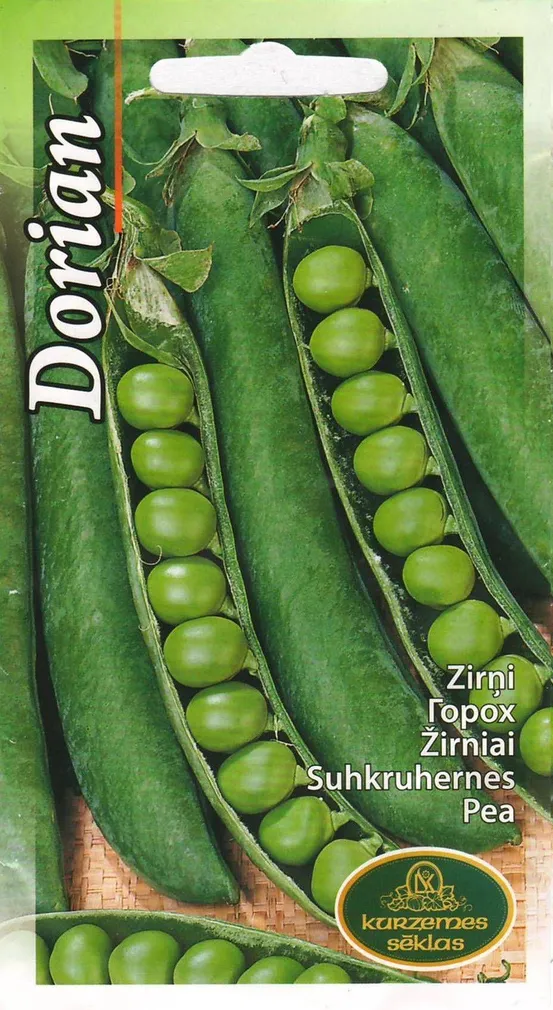 SEEMNED KURZEMES SEKLAS HERNES "DORIAN"