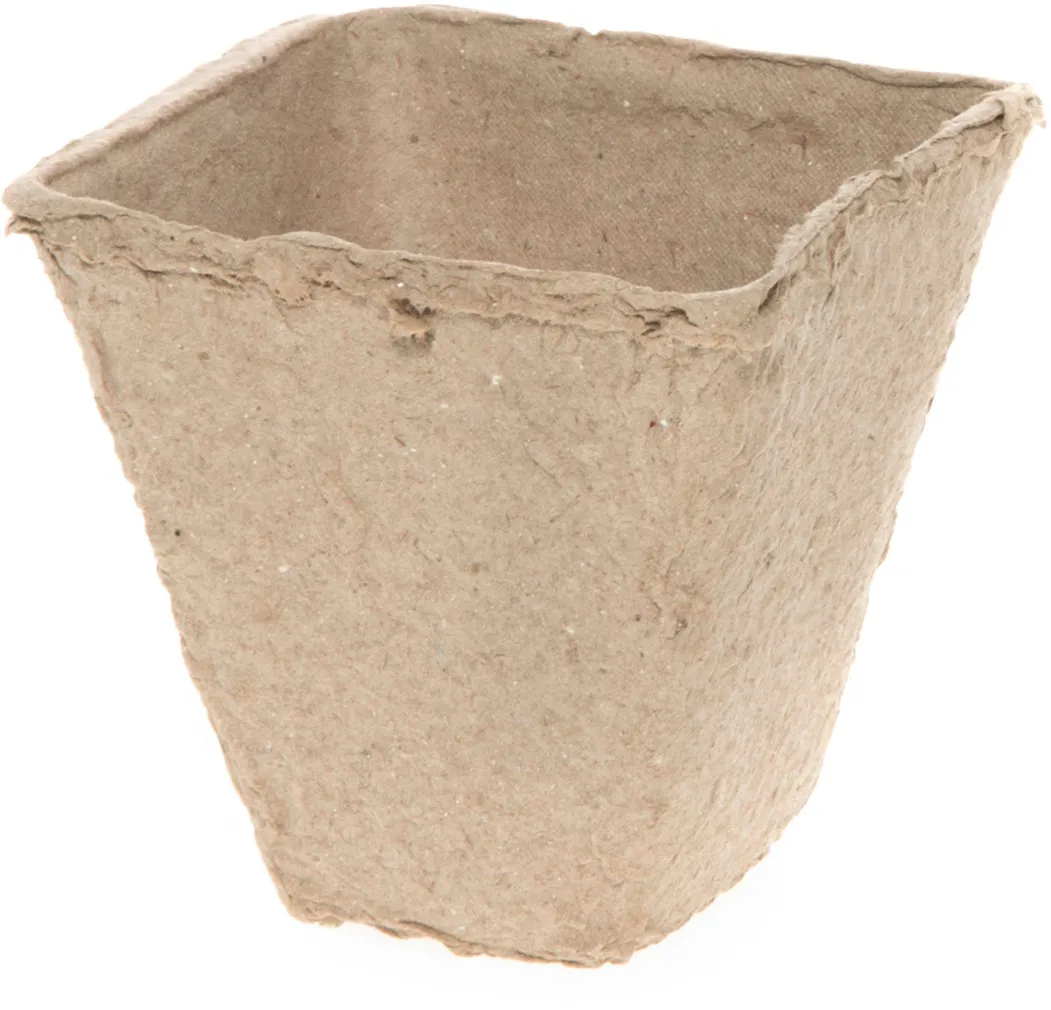 TURBAPOTID 4LIVING GREEN 8X8CM KANDILINE 10TK PAKIS