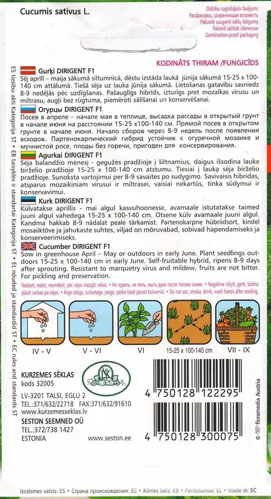 SEEMNED KURZEMES SEKLAS KURK "DIRIGENT"