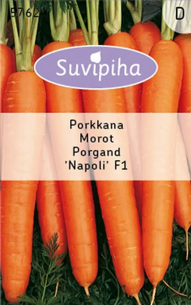KÖÖGIVILJASEEMNED SUVIPIHA PORGAND NAPOLI F1 VARANE 480S 