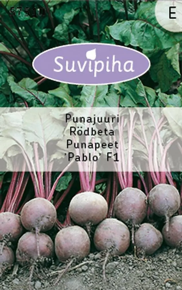 KÖÖGIVILJASEEMNED SUVIPIHA PUNAPEET PABLO F1 ÜMAR 170S 