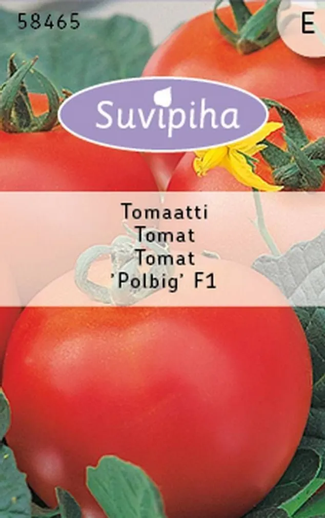 KÖÖGIVILJASEEMNED SUVIPIHA TOMAT POLBIG F1 60S 