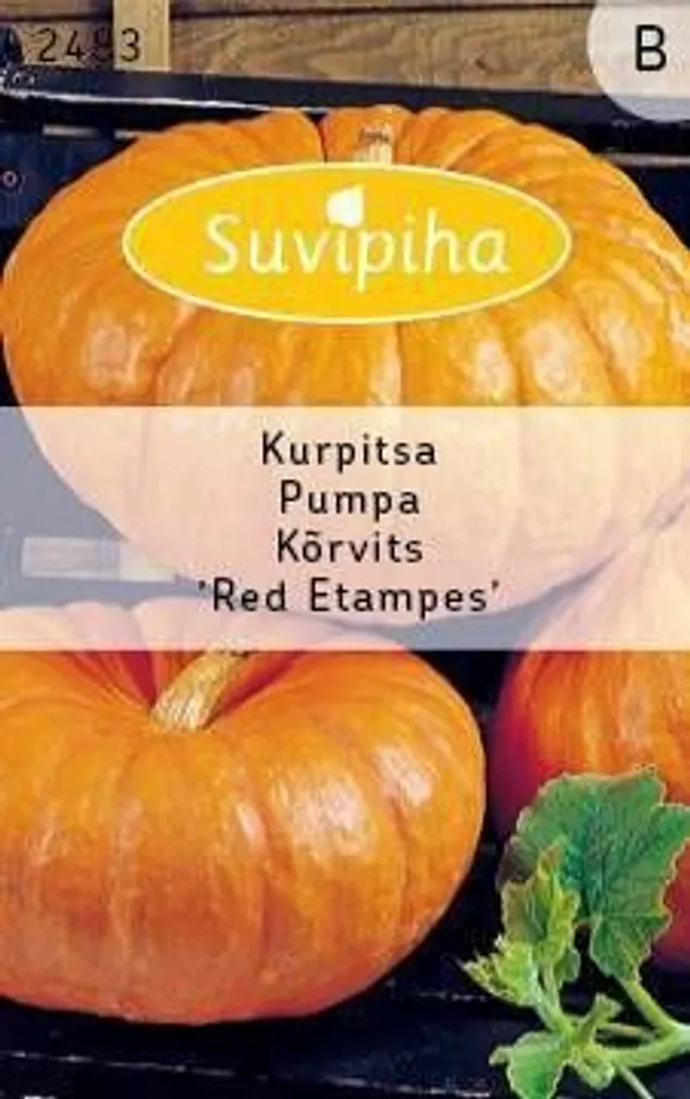 KÖÖGIVILJASEEMNED SUVIPIHA KÕRVITS RED ETAMPS 