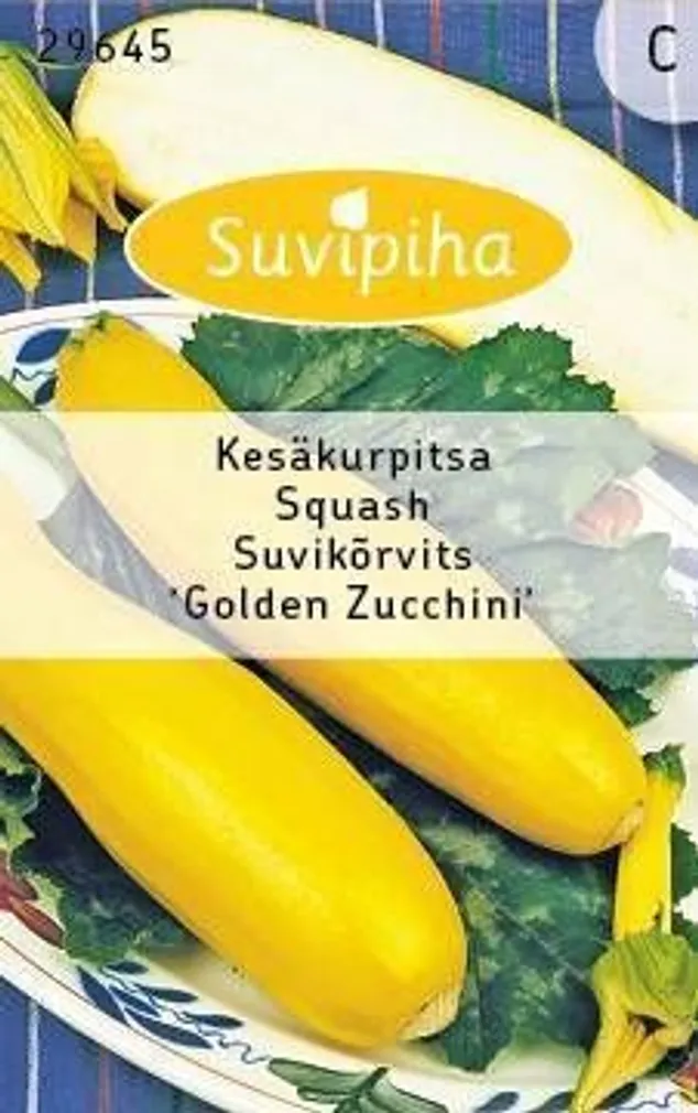 KÖÖGIVILJASEEMNED SUVIPIHA SUVIKÕRVITS GOLDEN ZUCCHINI 