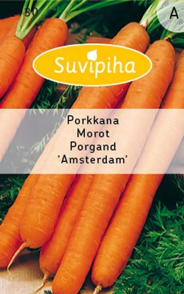 KÖÖGIVILJASEEMNED SUVIPIHA PORGAND AMSTERDAM VARAJANE 
