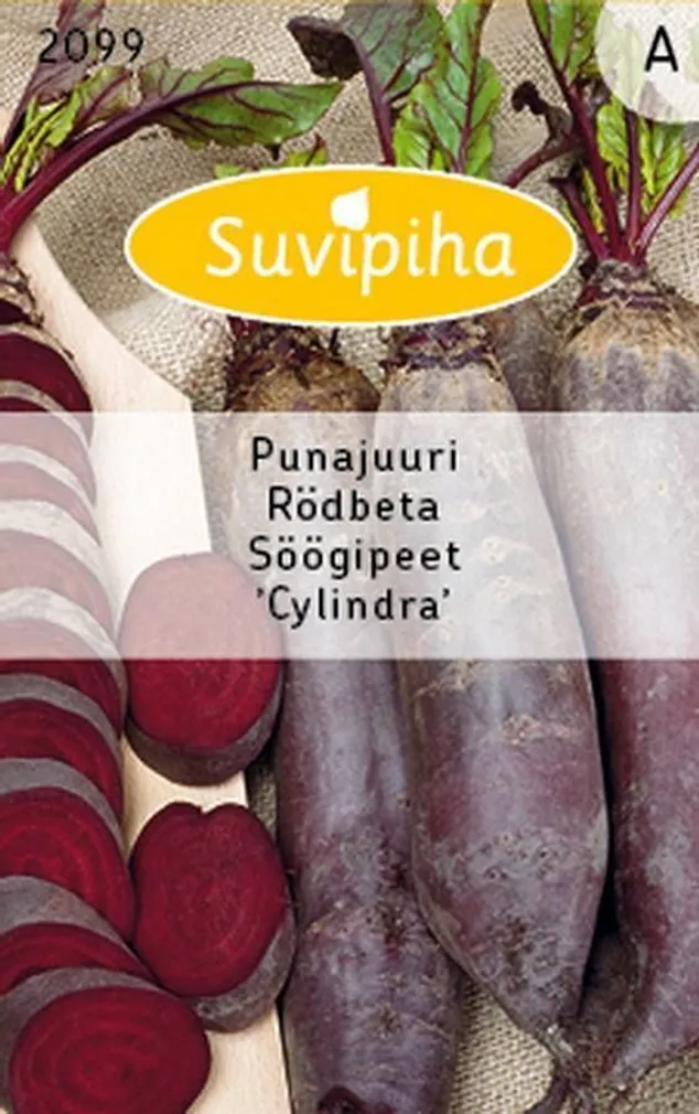 KÖÖGIVILJASEEMNED SUVIPIHA PUNAPEET CYLINDRA PIKLIK 