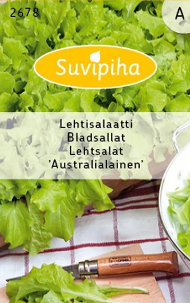 KÖÖGIVILJASEEMNED SUVIPIHA LEHTSALAT AUSTRALIALAINEN 
