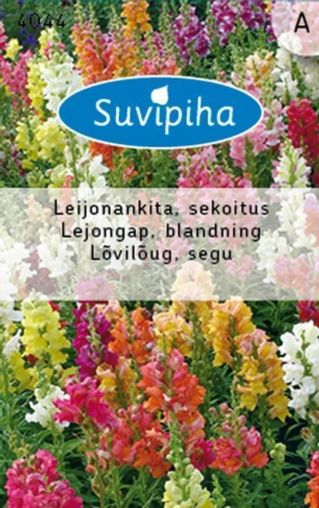 LILLESEEMNED SUVIPIHA LÕVILÕUG SEGU 