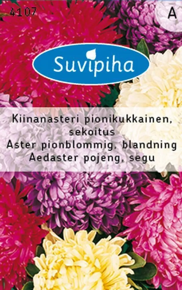 LILLESEEMNED SUVIPIHA AEDASTER POJENG SEGU 