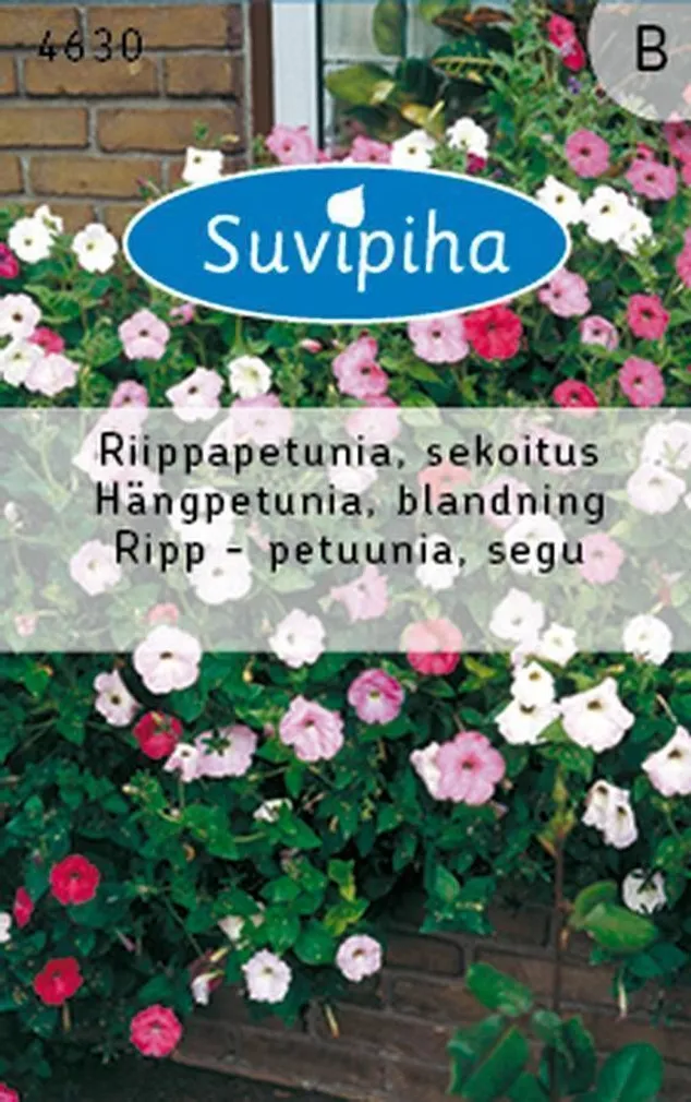 LILLESEEMNED SUVIPIHA PETUUNIA RIPP SEGU 