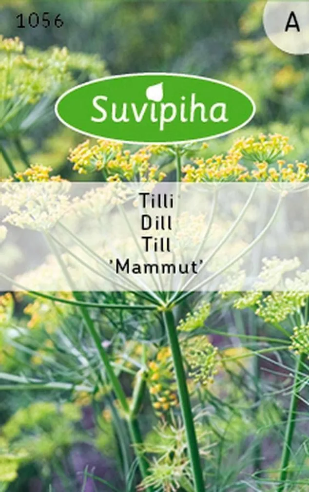 KÖÖGIVILJASEEMNED SUVIPIHA TILL MAMMUT 