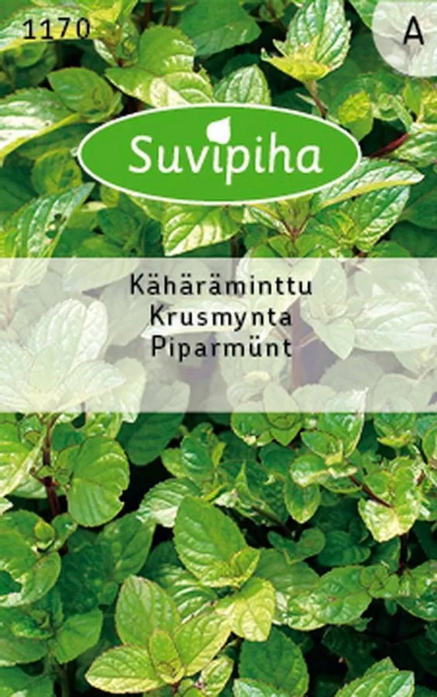 KÖÖGIVILJASEEMNED SUVIPIHA PIPARMÜNT 