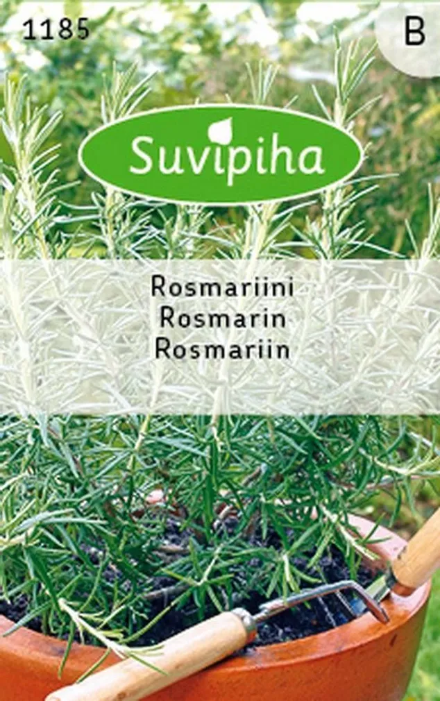 KÖÖGIVILJASEEMNED SUVIPIHA ROSMARIIN 