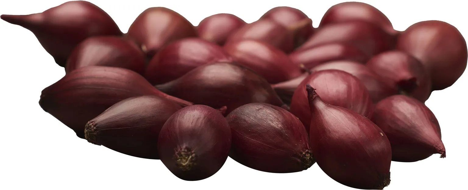 TIPPSIBUL RED-KARMEN 0,5KG