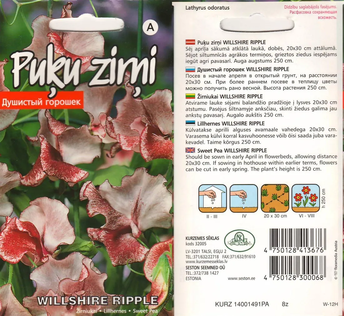 LILLHERNES WILLSHIRE RIPPLE 2G