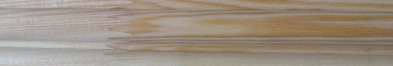 PÕRANDALIIST JMG 28X45X2400