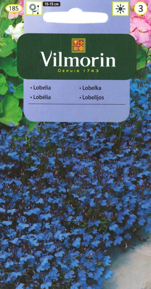 LILLESEEMNED LOBEELIA BLUE VILMORIN CLASSIC