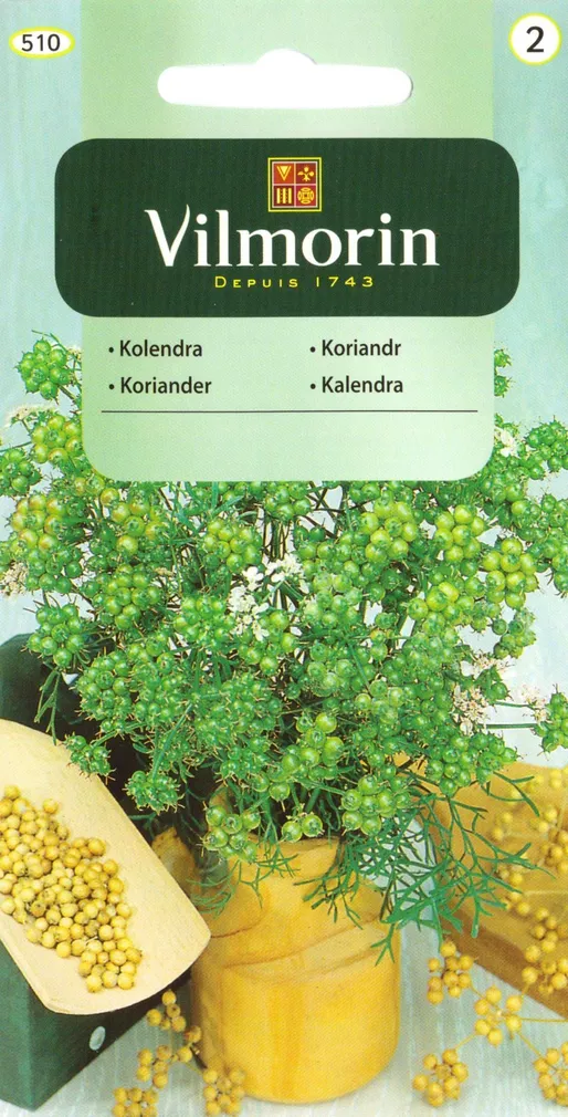 KÖÖGIVILJASEEMNED KORIANDER VILMORIN CLASSIC