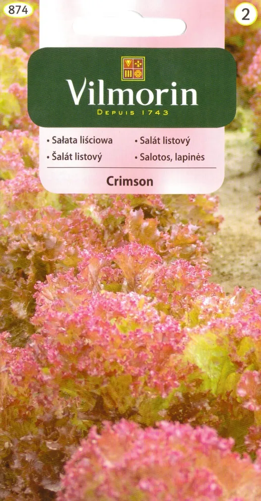 KÖÖGIVILJASEEMNED SALAT PUNANE CRIMSON