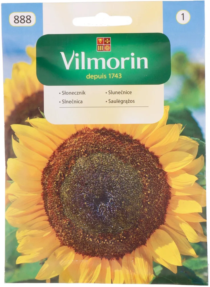 LILLESEEMNED PÄEVALILL SÖÖDAVAD SEEMNED VILMORIN CLASSIC