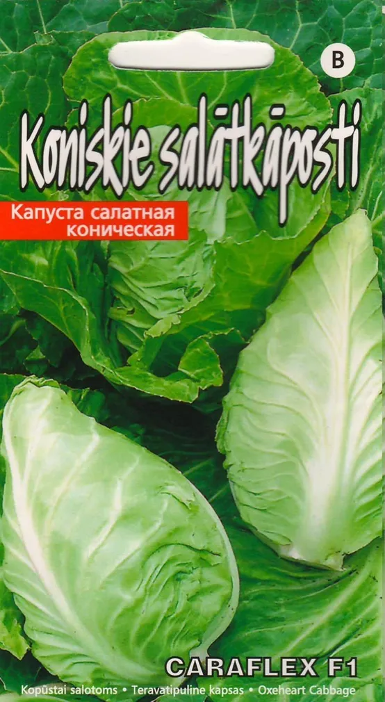 SEEMNED KURZEMES SEKLAS TERAVATIPULINE KAPSAS CARAFLEX