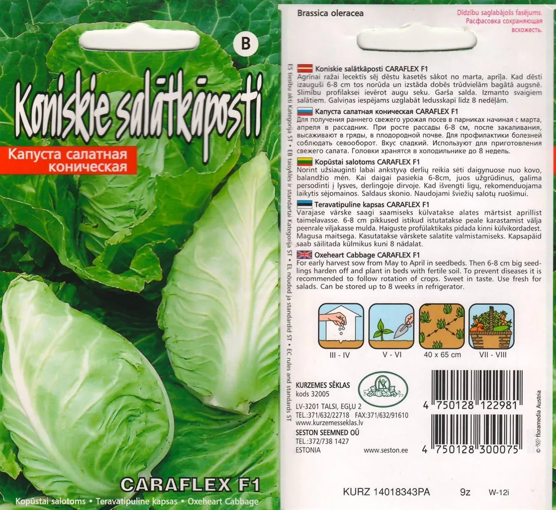 SEEMNED KURZEMES SEKLAS TERAVATIPULINE KAPSAS CARAFLEX