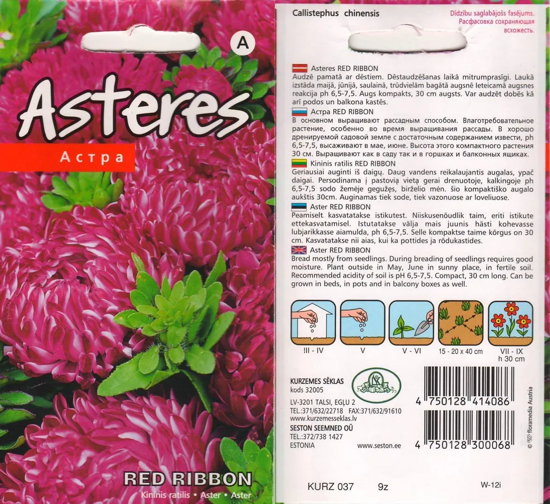 SEEMNED KURZEMES SEKLAS ASTER "RED RIBBON"