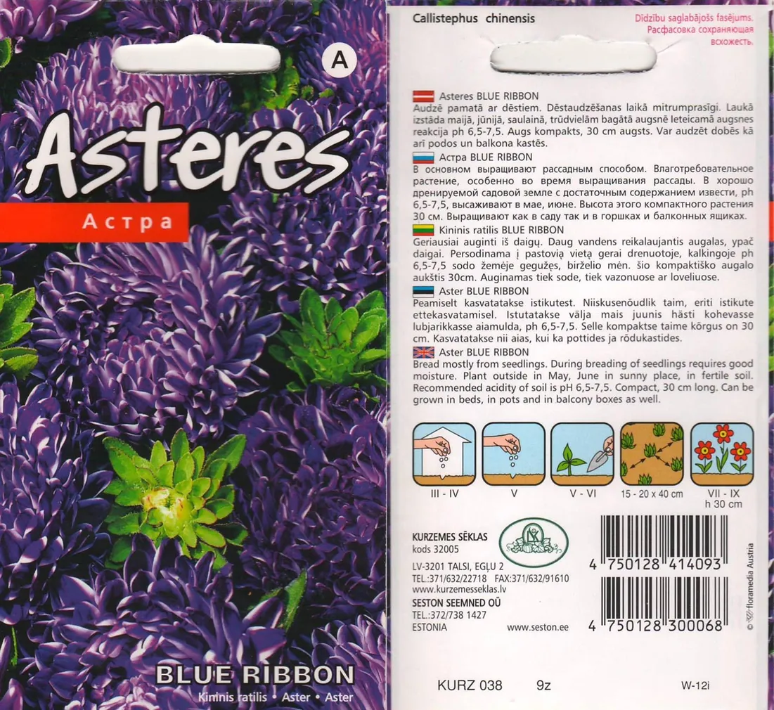 SEEMNED KURZEMES SEKLAS ASTER "BLUE RIBBON"