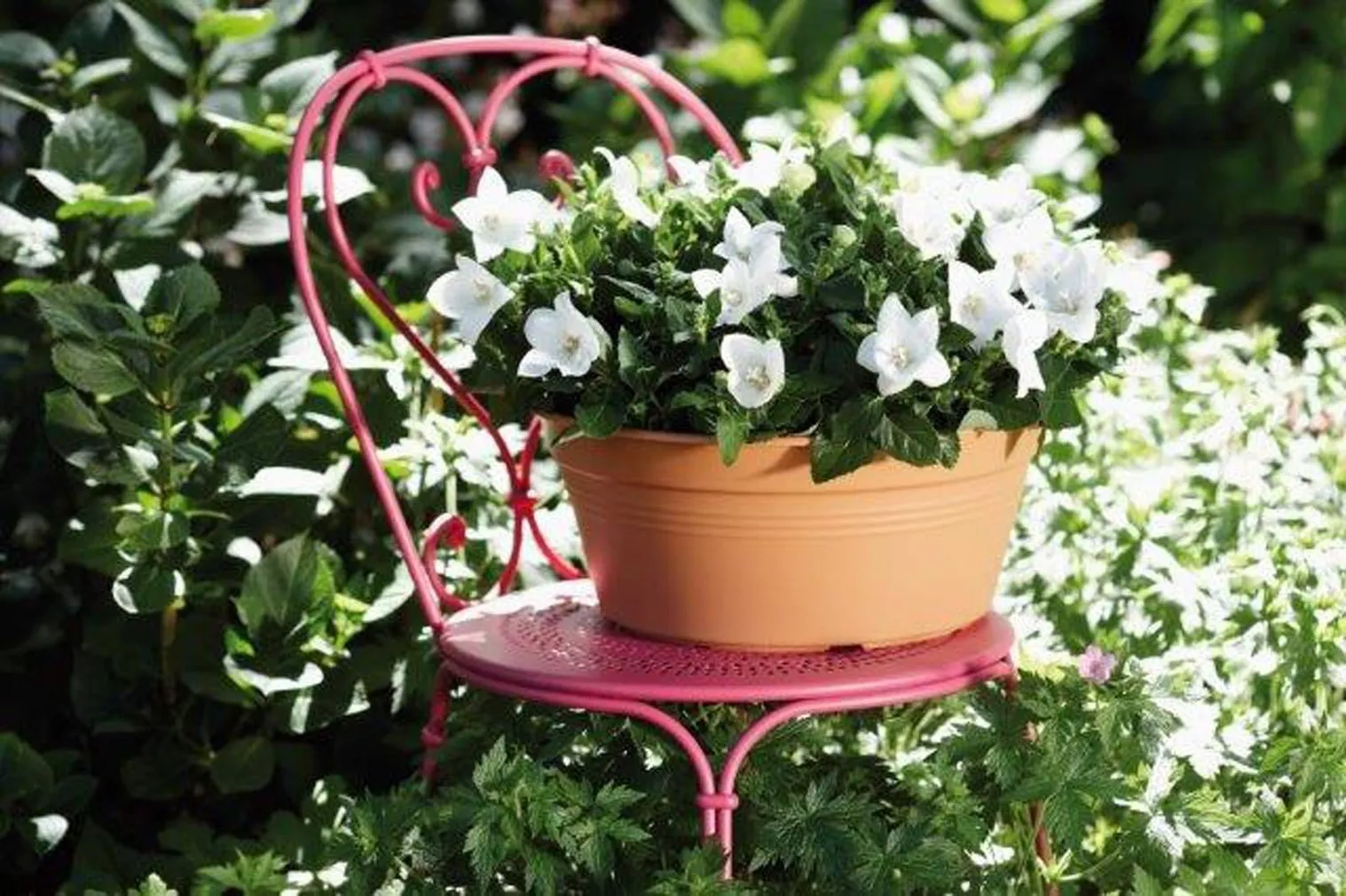 LILLEPOTIÜMBRIS PROVENCE 27CM TERRA