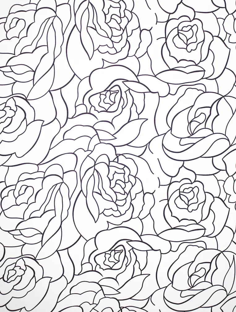 DUŠIKARDIN 180X200CM DUSCHY 626-07 ROOS POLÜESTER