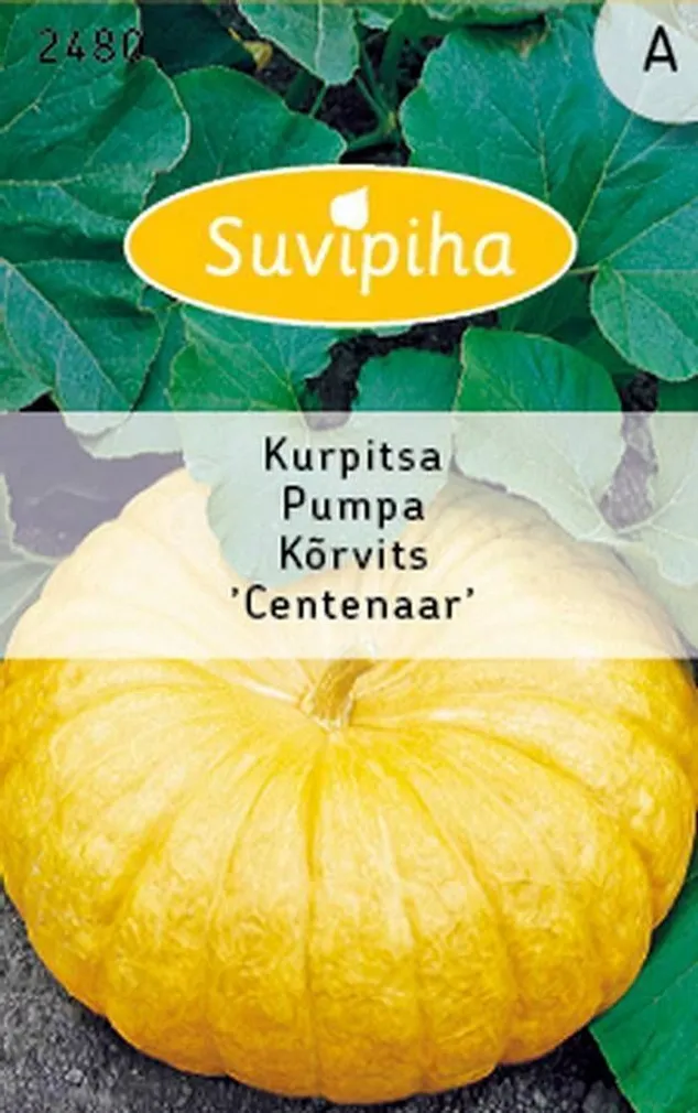 KÖÖGIVILJASEEMNED SUVIPIHA KÕRVITS GELBE CENTENAAR 