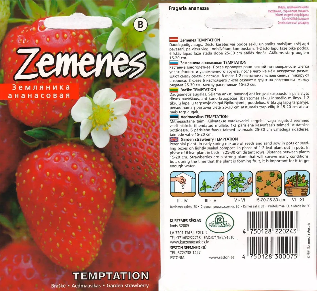 SEEMNED KURZEMES SEKLAS AEDMAASIKAS "TEMPTATION"