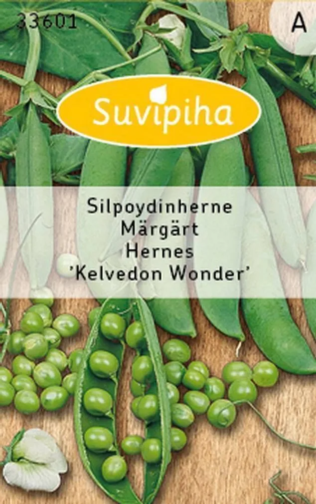 KÖÖGIVILJASEEMNED SUVIPIHA HERNES KELVEDON WONDER 