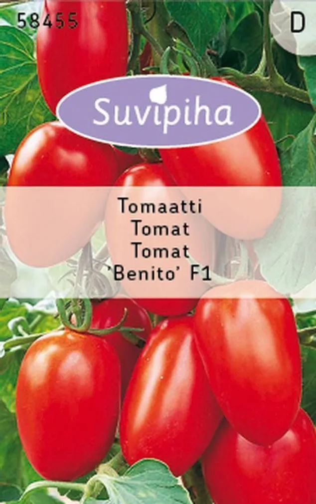 KÖÖGIVILJASEEMNED SUVIPIHA TOMAT BENITO F1 75S 