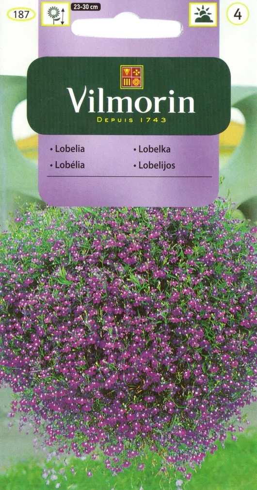 LILLESEEMNED RIPP-LOBEELIA VILMORIN CLASSIC
