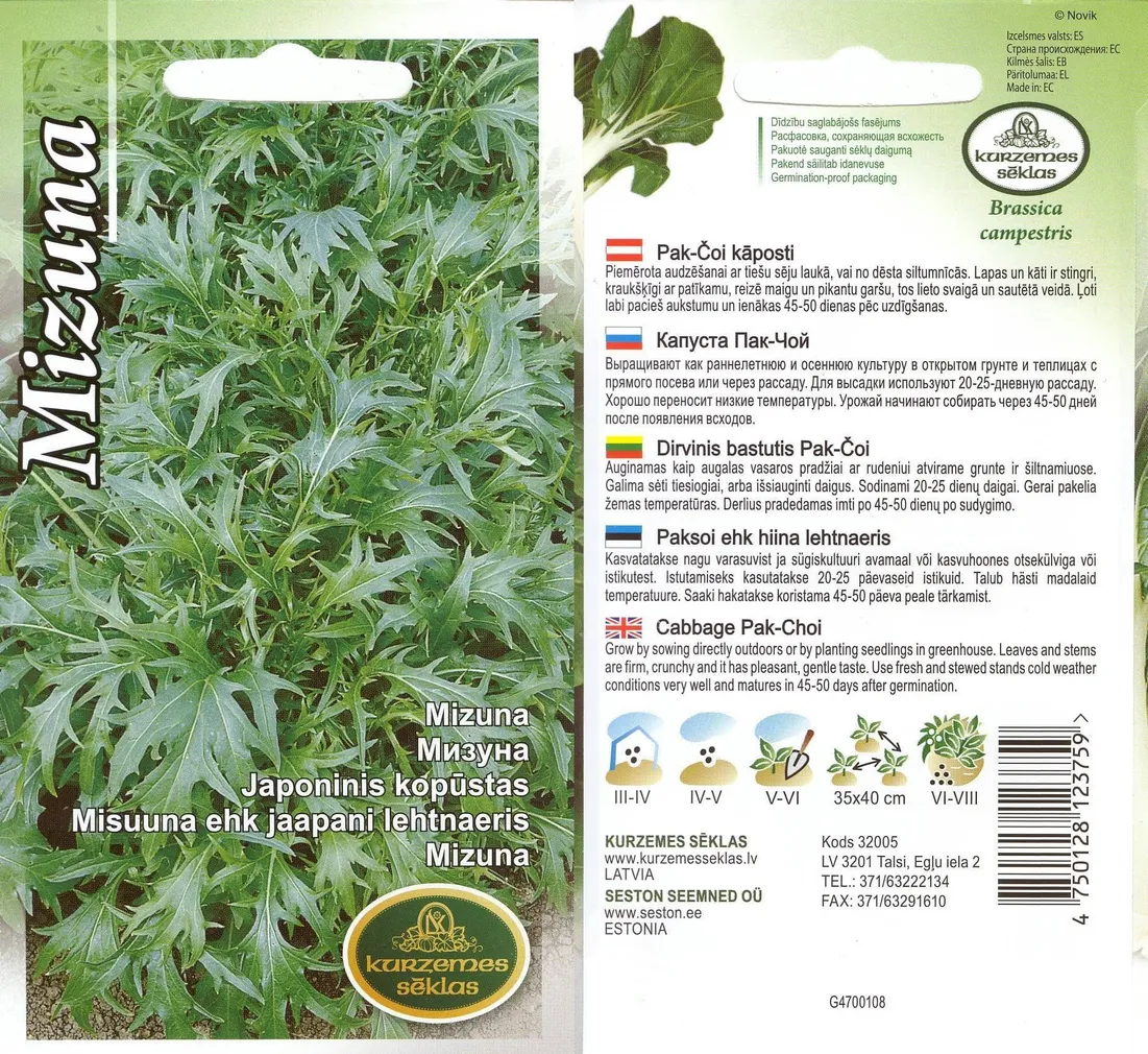 SEEMNED KURZEMES SEKLAS MISUUNA EHK JAAPANI LEHTNAERIS 3 G