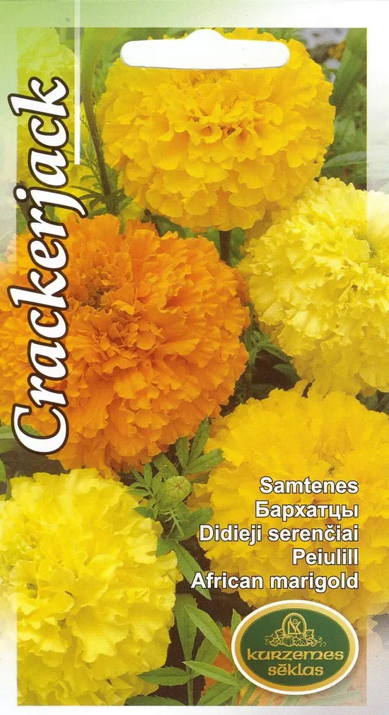 SEEMNED KURZEMES SEKLAS PEIULILL CRACKERJACK 1 G