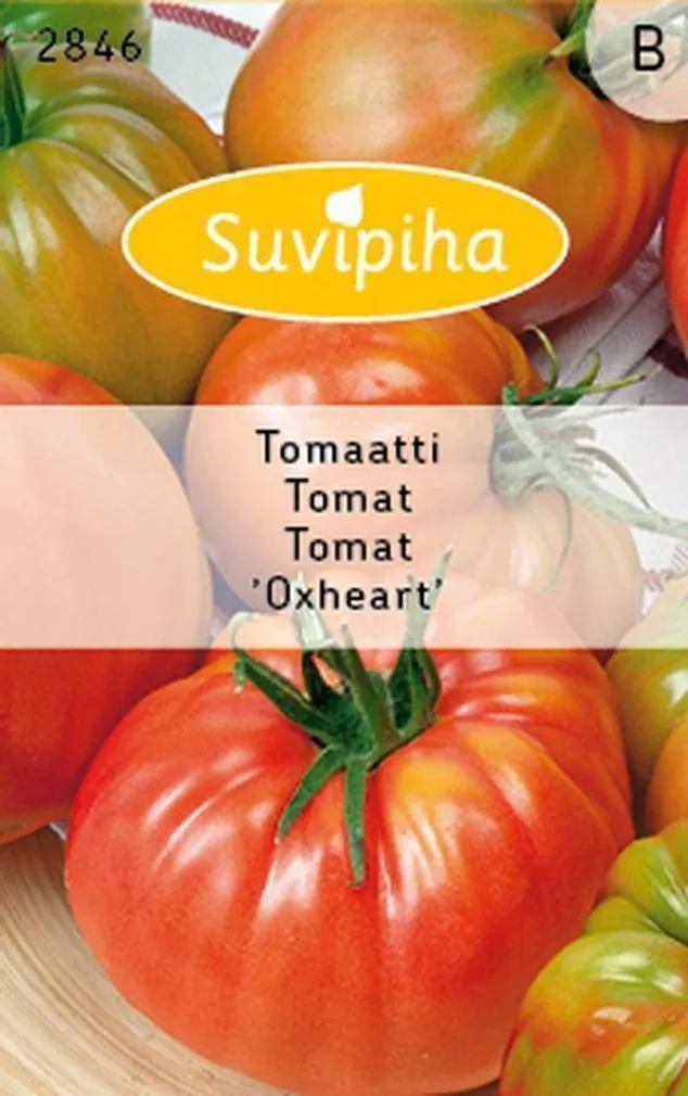 KÖÖGIVILJASEEMNED SUVIPIHA TOMAT OXHEART 