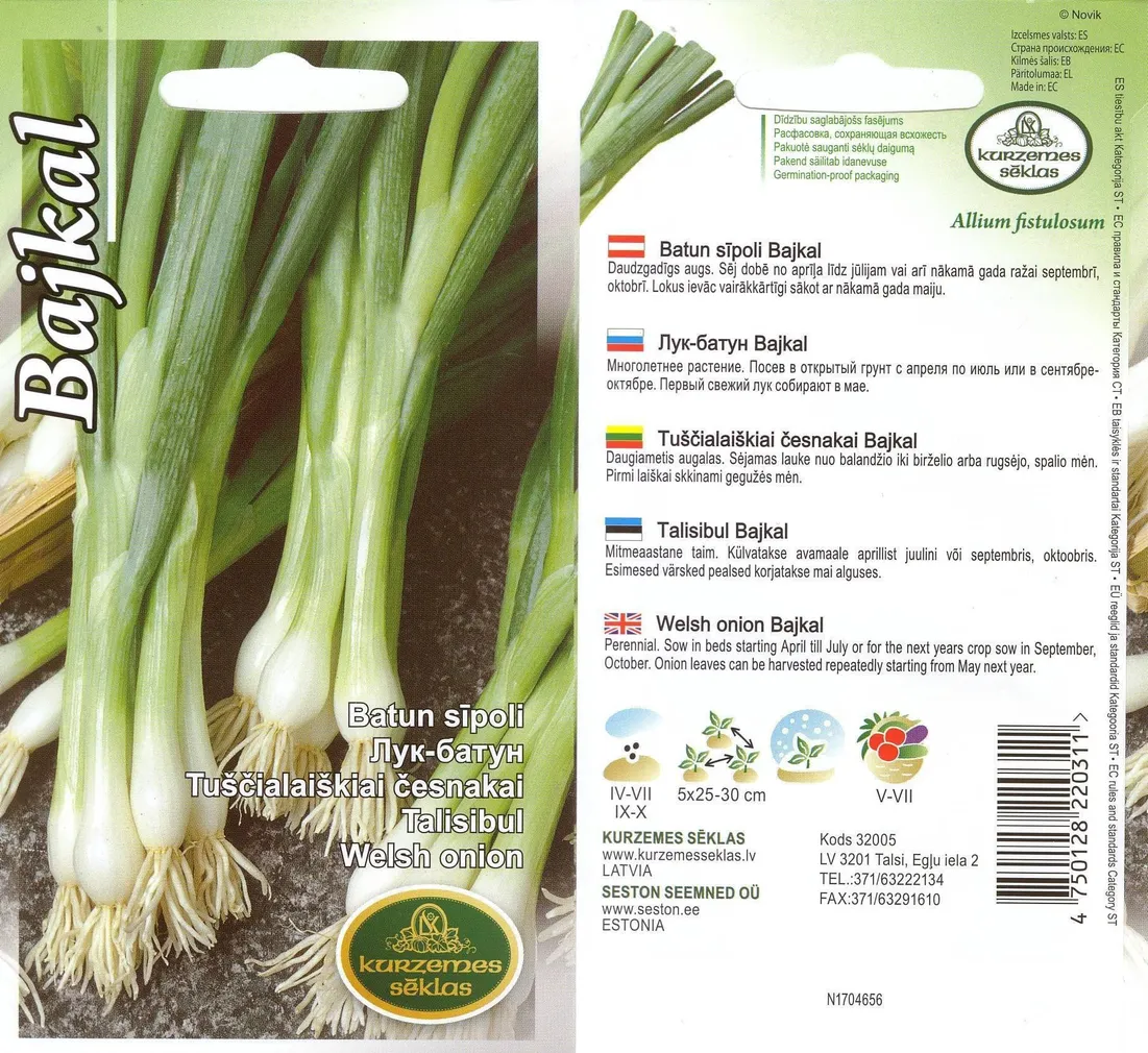 SEEMNED KURZEMES SEKLAS TALISIBUL BAJKAL 1G