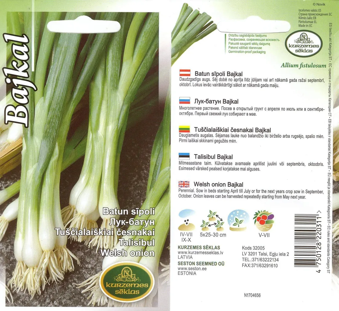 SEEMNED KURZEMES SEKLAS TALISIBUL BAJKAL 1G