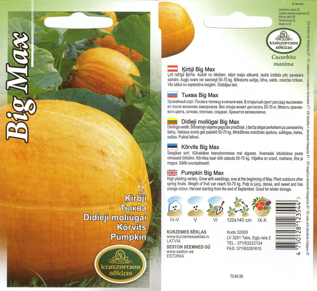 SEEMNED KURZEMES SEKLAS KÕRVITS BIG MAX 2G