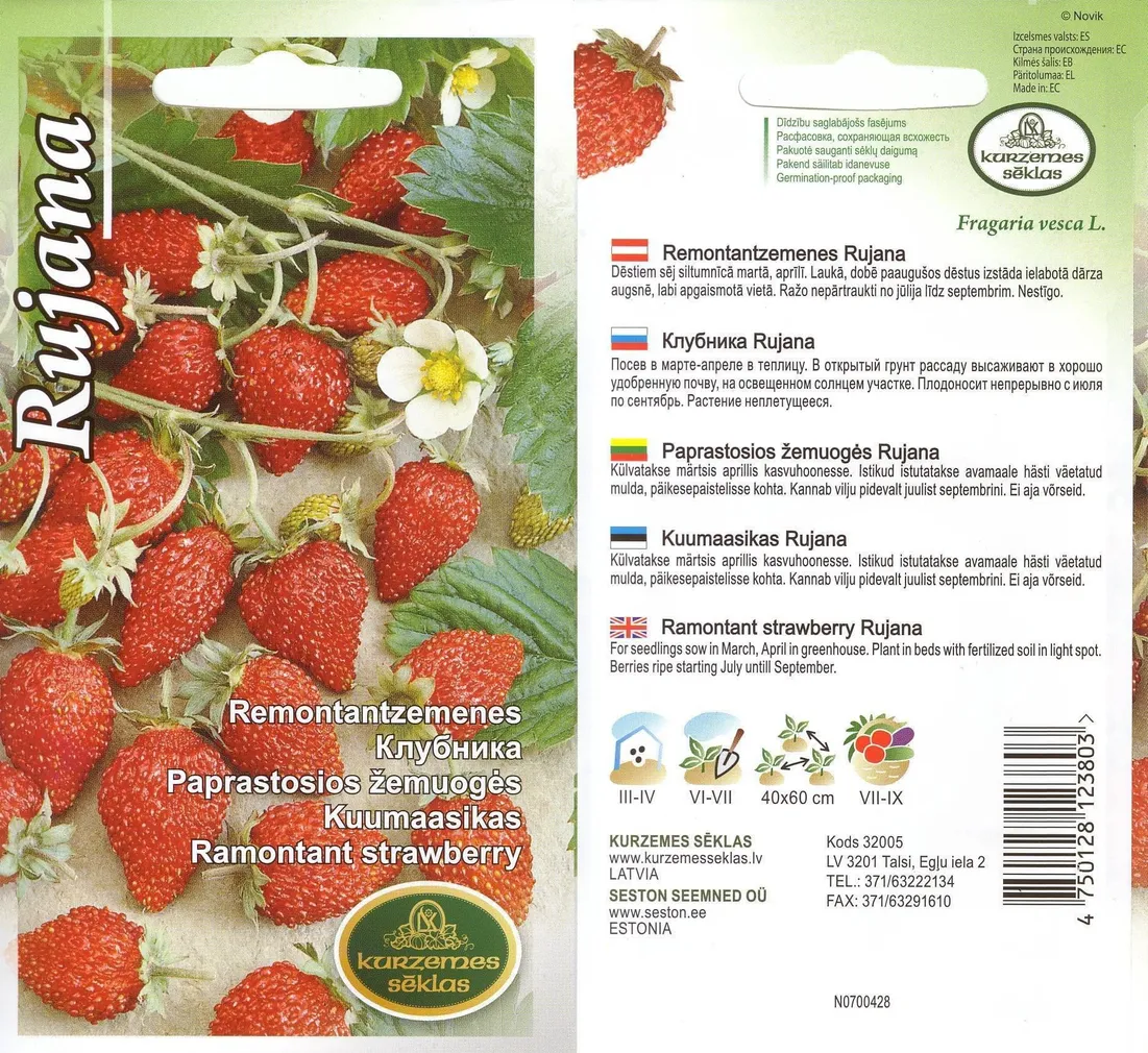 SEEMNED KURZEMES SEKLAS KUUMAASIKAS RUJANA 0,1G