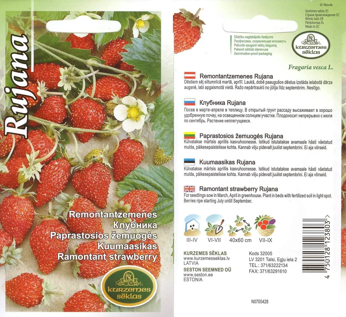 SEEMNED KURZEMES SEKLAS KUUMAASIKAS RUJANA 0,1G