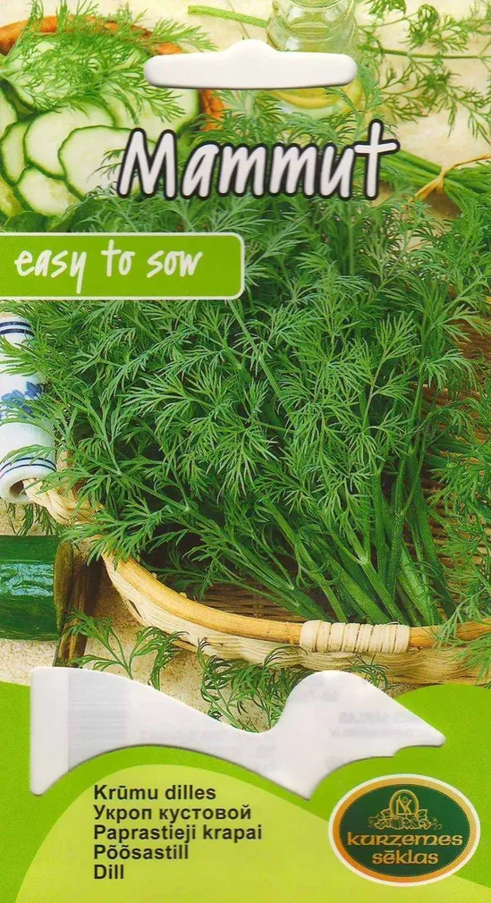 SEEMNED KURZEMES SEKLAS PÕÕSASTILL MAMMUT 5G