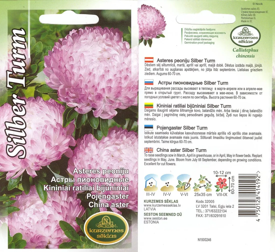 SEEMNED KURZEMES SEKLAS POJENGASTER SILBER T. 0,5 G