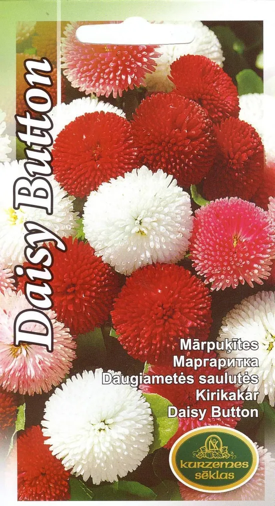 SEEMNED KURZEMES SEKLAS KIRIKAKAR DAISY BUTTON 0,1 G