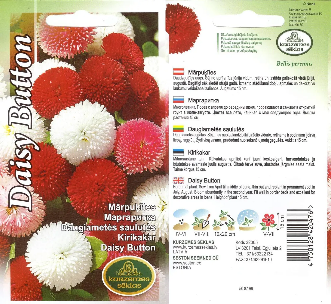 SEEMNED KURZEMES SEKLAS KIRIKAKAR DAISY BUTTON 0,1 G