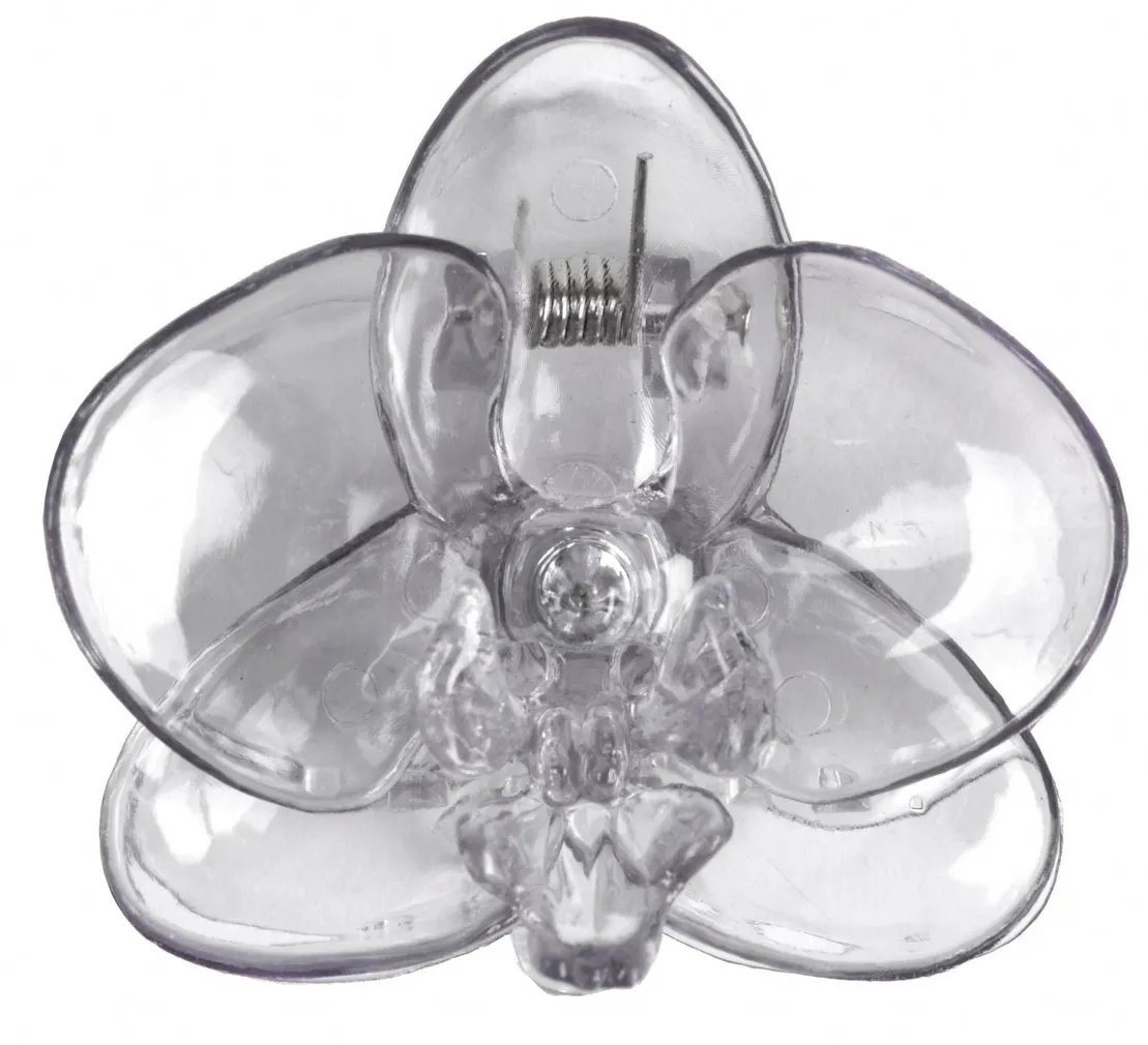 ORHIDEEKLAMBER 1TK LÄBIPAISTEV